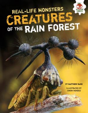 Book cover of Creatures of the Rain Forest