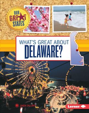 Cover of the book What's Great about Delaware? by Robin Nelson