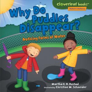 Cover of the book Why Do Puddles Disappear? by Stacy Taus-Bolstad