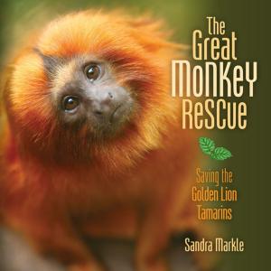 Cover of the book The Great Monkey Rescue by Anne J. Spaight