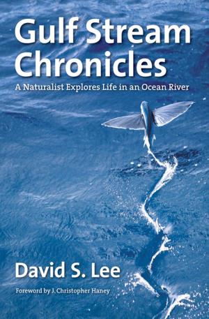 Cover of the book Gulf Stream Chronicles by Ryan A. Quintana