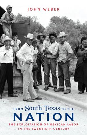 Cover of the book From South Texas to the Nation by Michael P Johnson, James L. Roark