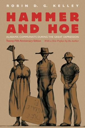 Cover of the book Hammer and Hoe by Jewell Parker Rhodes