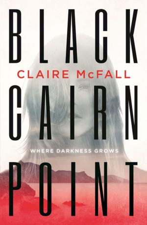 Cover of the book Black Cairn Point by Gareth P. Jones, Rachel Delahaye