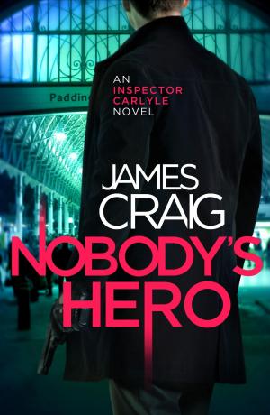 Cover of the book Nobody's Hero by Stephen Jones