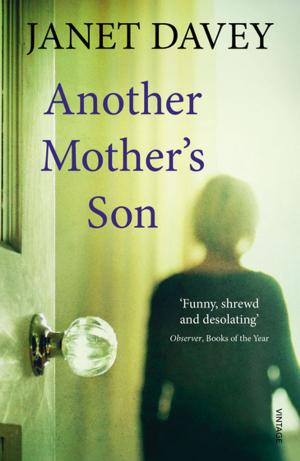 Cover of the book Another Mother's Son by Ryn Shell