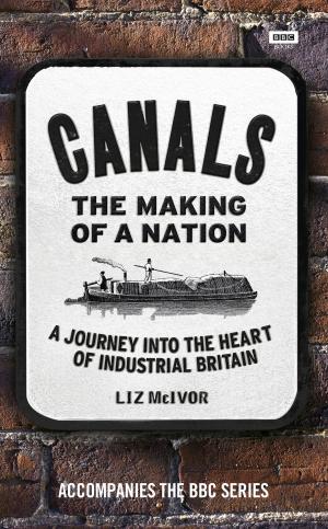 Cover of the book Canals: The Making of a Nation by David Snell