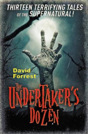 Cover of the book The Undertaker's Dozen by Jill Dann, Derek Dann