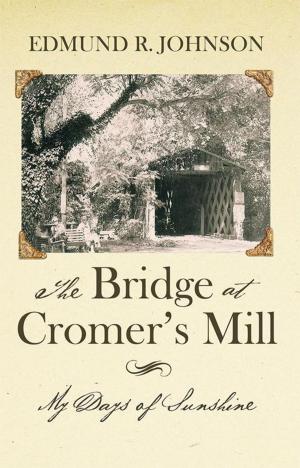 Book cover of The Bridge at Cromer’S Mill
