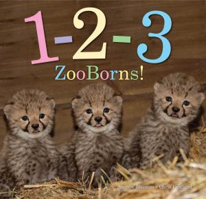 Cover of the book 1-2-3 ZooBorns! by Jane Kurtz