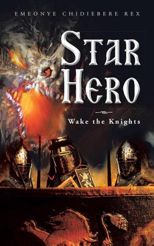 Book cover of Star Hero
