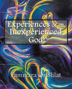 Cover of the book Experiences of an Inexperienced God by Haneef Yusoff