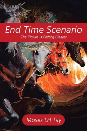 Cover of the book End Time Scenario by Irwin Goldstein