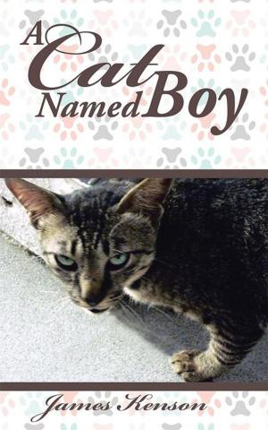 Cover of the book A Cat Named Boy by Maria Jasmine Freeman