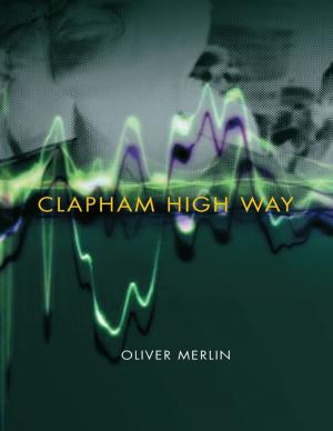 Cover of the book Clapham High Way by Cathy Coley