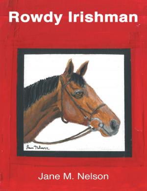 Cover of the book Rowdy Irishman by E. Barry Gray