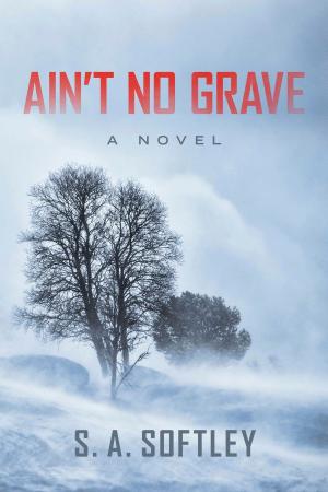 Cover of the book Ain't No Grave by Seeley James