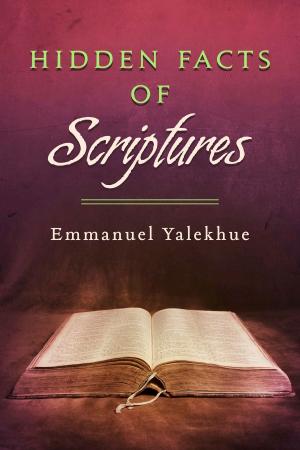 Cover of the book Hidden Facts of Scriptures by Karen Witt Daly