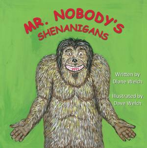 Cover of the book Mr. Nobody's Shenanigans by David Wiens