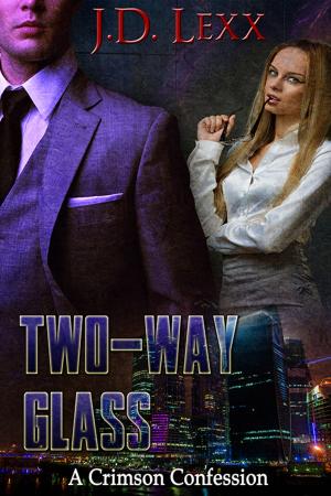 Cover of the book Two-Way Glass by Dorice Grey
