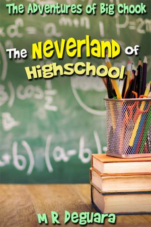 Cover of the book The Neverland of Highschool by Viola Grace