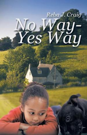Cover of the book No Way - Yes Way by Graham McDonald