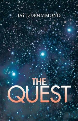 Cover of the book The Quest by DENNIS HILL