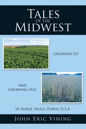 Cover of the book Tales of the Midwest by Robert Schreiber Jr.