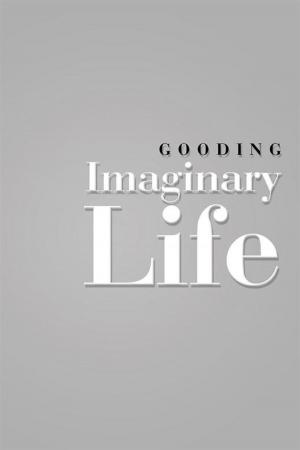 bigCover of the book Imaginary Life by 