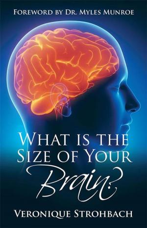 Cover of the book What Is the Size of Your Brain? by Morwenna Assaf