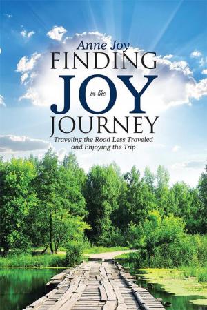 Cover of the book Finding Joy in the Journey by Sharon Burns Laubenstein