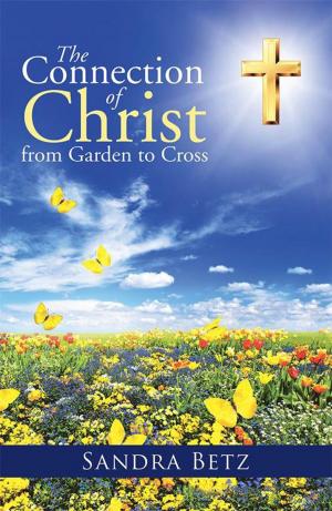 Cover of the book The Connection of Christ from Garden to Cross by Eric Smith
