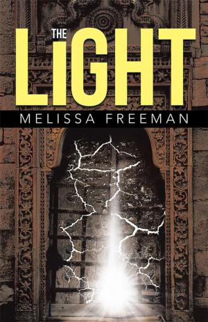 Cover of the book The Light by Amber Albee Swenson