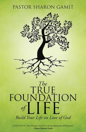 Cover of the book The True Foundation of Life by K.L.Lyons
