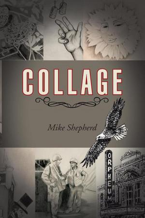 Cover of the book Collage by Keith N. Ferreira