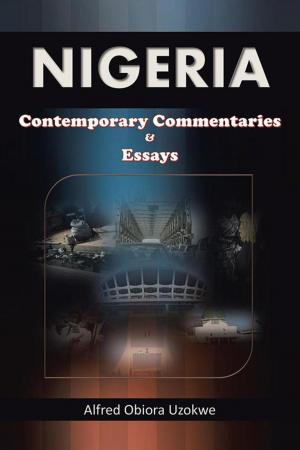 Cover of the book Nigeria by Scot McAtee