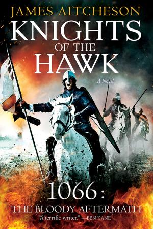 Cover of the book Knights of the Hawk by Susanna Kearsley