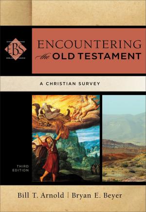 Cover of the book Encountering the Old Testament (Encountering Biblical Studies) by Stephen V. Monsma, Stanley W. Carlson-Thies