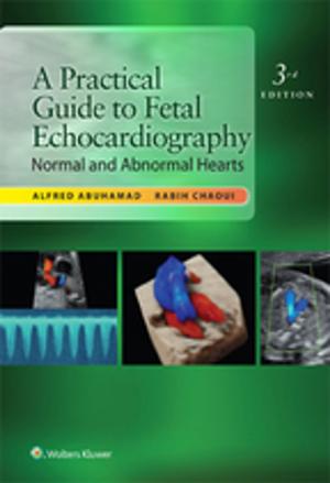Cover of the book A Practical Guide to Fetal Echocardiography by Craig Burkhart, Dean Morrell, Lowell A. Goldsmith, Art Papier, Brian Green, David Dasher, Sethuraman Gomathy