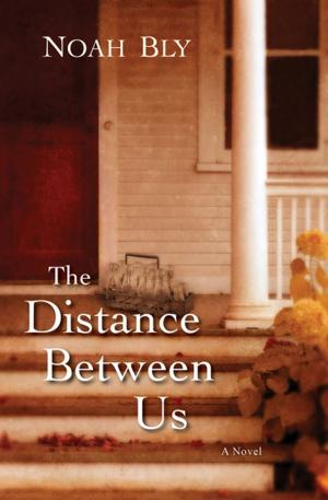 Cover of the book The Distance Between Us by Ashley Erin