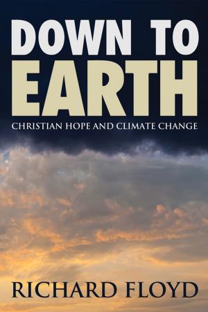 Cover of the book Down to Earth by Aída Besançon Spencer