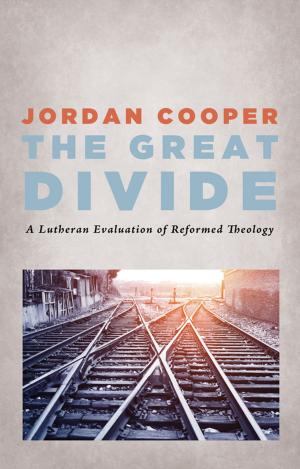 Cover of the book The Great Divide by Justin Miller