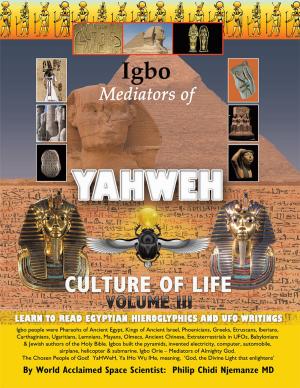 Cover of the book Igbo Mediators of Yahweh Culture of Life by Obi Mbeledogu, Onoso Barho
