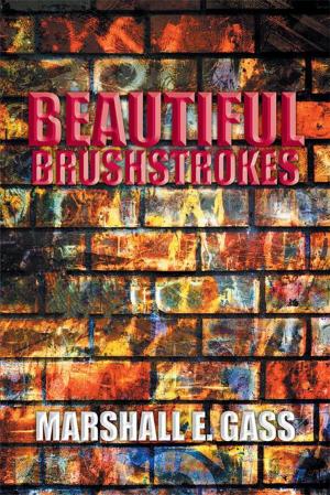 Book cover of Beautiful Brushstrokes