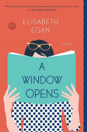 Cover of the book A Window Opens by Jennifer Peel