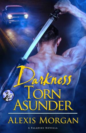 Cover of the book Darkness Torn Asunder by Alison Gaylin