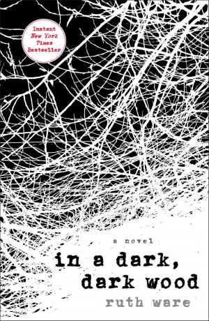 Book cover of In a Dark, Dark Wood