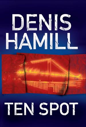 Cover of the book Ten Spot by Tamara N. Houston
