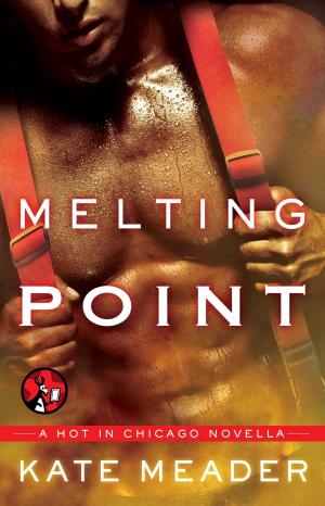 Cover of the book Melting Point by Maggie May