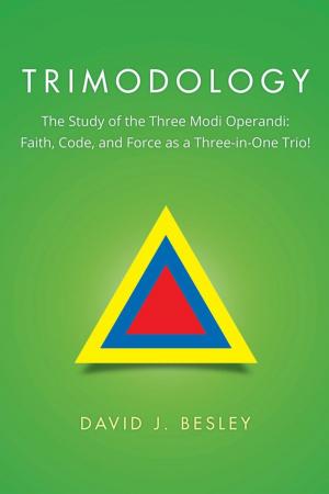 Cover of the book Trimodology by Dana Berzinjy